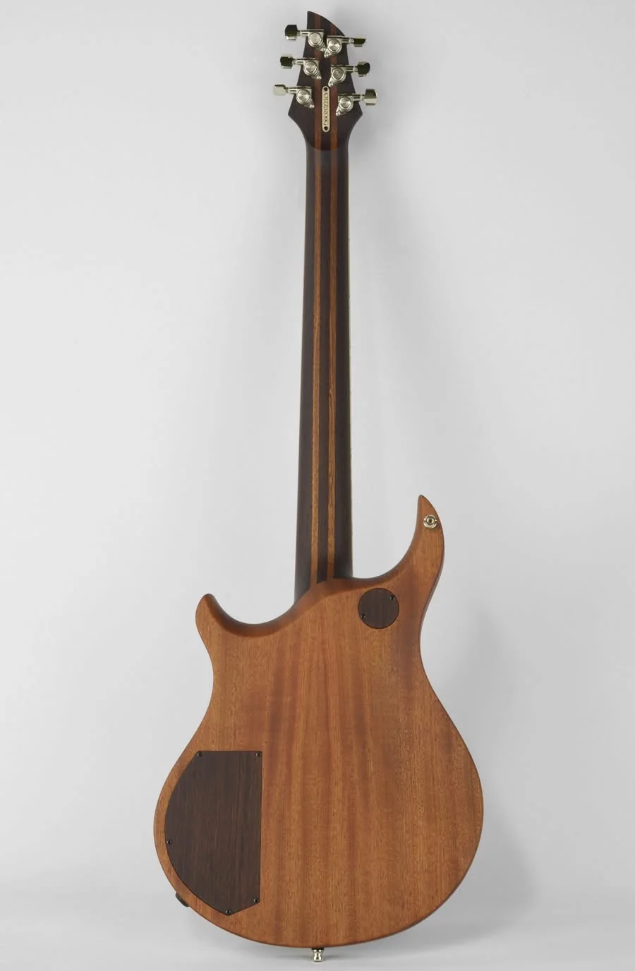 Custom Electric Guitar